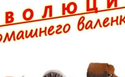 О.Демьянова «Эволюция домашнего валеночка»