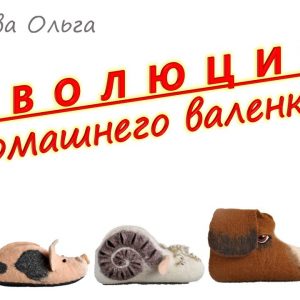 О.Демьянова «Эволюция домашнего валеночка»