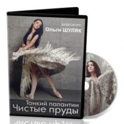 О.Шуляк «Тонкий палантин «Чистые пруды»